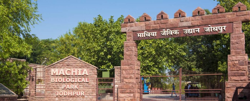Places to Visit in Jodhpur