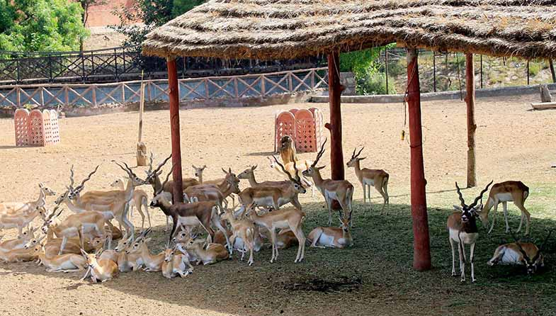 places to visit in Jaipur