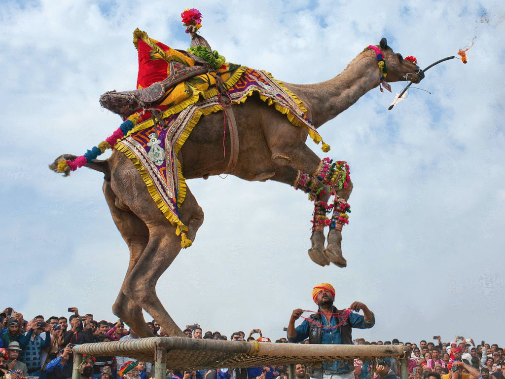 places to see in Bikaner